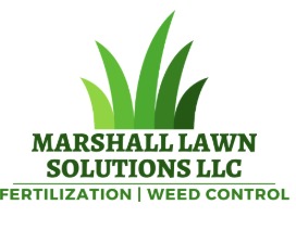 Marshall Lawn Solutions – Setting a New Standard for Central Texas Lawns